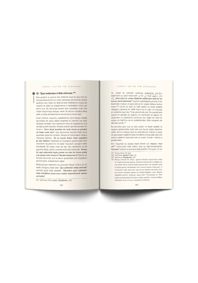 Risale-i Nur'da İlmi Prensipler Külli Kaideler