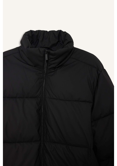 Defacto Slim Fit Dik Yaka Astarlı Fermuarlı Su Geçirmez Siyah Erkek Mont C5631ax/bk27 Siyah