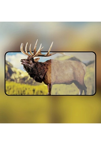 Oppo Reno 4 Full Glue Tempered Cam Ekran Koruyucu Full Kaplama- 5775 Mh-hs1093-0638