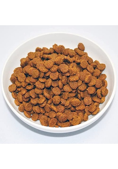 Ayrex Farmına Vet Life Cat Gastroıntestınal 5kg