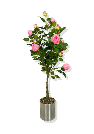 Cihan Çiçekçilik Yapay Pembe Gül Ağacı 150 Cm 25x25 Galvaniz Saksı Beyaz- Yeşil