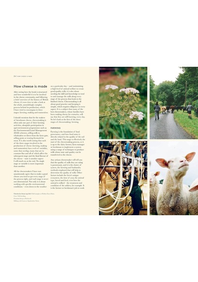 A Portrait Of British Cheese: A Celebration Of Artistry, Regionality And Recipes