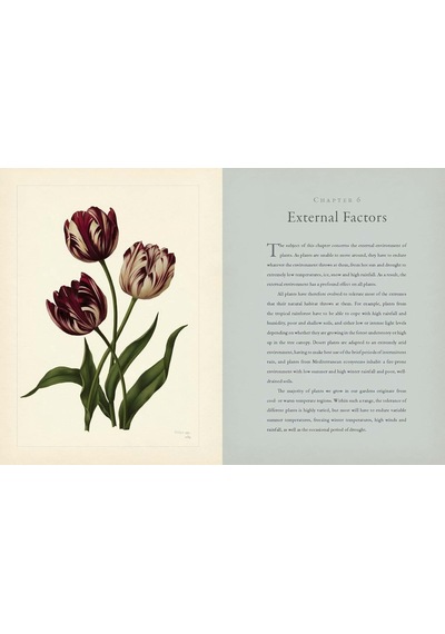 Rhs Botany For Gardeners: The Art And Science Of Gardening Explained & Explored