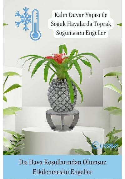 Ahşap Ayaklı Beton Saksı Büyük Boy 1 Adet Ananas Model - Gümüş Eskitme