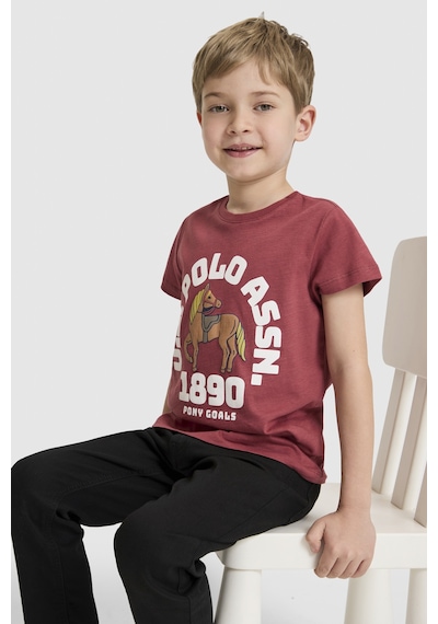 U.s. Polo Assn. Erkek Çocuk Vişne Tişört 50327000-vr223