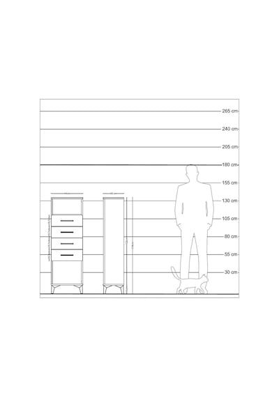 Arges Dolap Tek Raflı 4 Çekmeceli 44x30x134 Antrasit-aytaşı Antrasit