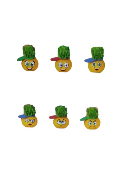 Emoji Çim Adam Yapım Seti-okul Eğitici Deney Seti