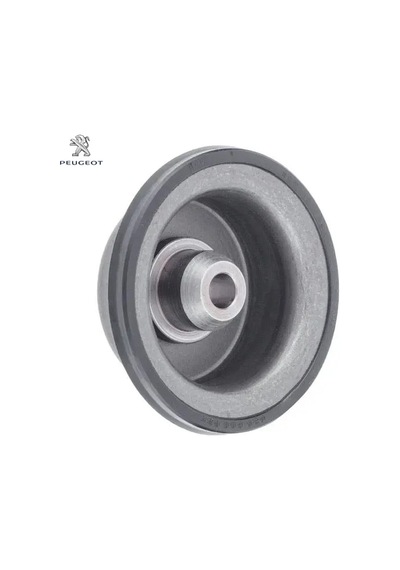 Otomatik Şanzıman Yay Pistonu Peugeot 2319.13