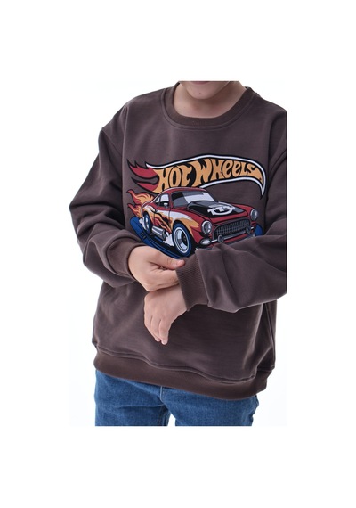 Kahverengi Erkek Çocuk Baskılı Sweatshirt Kahverengi