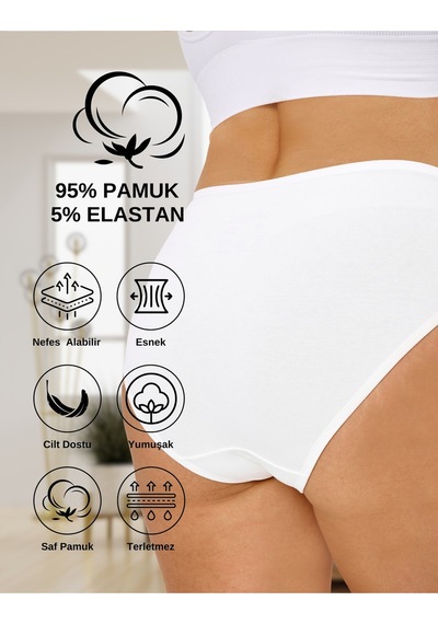 Alya Underwear Kadın Külot Basic Slip Renkli Pamuklu Iç Çamaşırı 10'lu Paket Multicolor-x32 Multicolor - X17