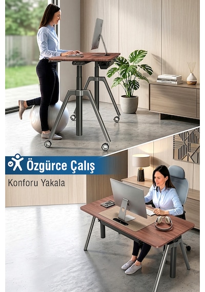 O-flex Oak Yükseklik Ayarlı Çalışma Masası Ceviz
