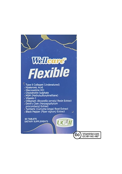 Wellcare Flexible Kolajen 60 Tablet