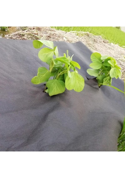 40 CM x600M Siyah Tekstil Mulch Siyah Agril 28 G Tarımsal Ot Örtüs
