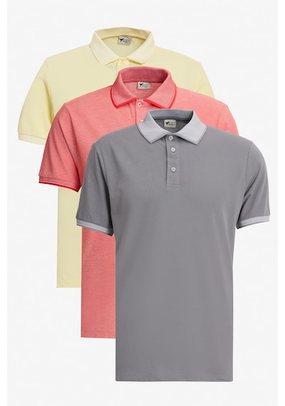 AC&Co / Altınyıldız Classics Erkek Sarı Beyaz-grı-nar Cıcegı Slim Fit Dar Kesim 3 'lü Kıvrılmaz Polo Yaka Tişört Çok Renkli AC&Co / Altınyıldız Classics Erkek Sarı Beyaz-grı-nar Cıcegı Slim Fit Dar Kesim 3 'lü Kıvrılmaz Polo Yaka Tişört Çok Renkli