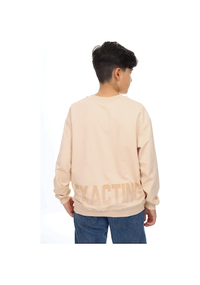 Toontoy Kids Toontoy Erkek Çocuk Baskılı Sweatshirt Bej