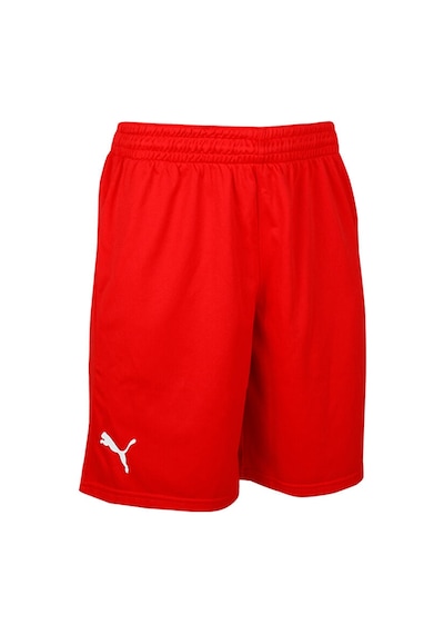 Puma Turkey Practice Short Erkek Türkiye Basketbol 60547202 Kırmızı 60547202 Kırmızı