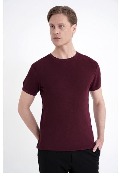 Efor Comfort Fit Rayon Karışımlı Bordo Bisiklet Yaka Tişört Ts 925