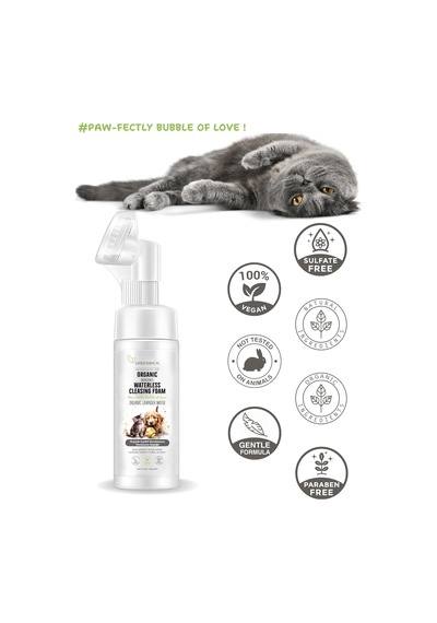 Lexroo Kedi Ve Köpek Pati Temizleme Köpüğü 150 Ml Durulama Gerektirmeyen Vegan Temizleme Köpüğü