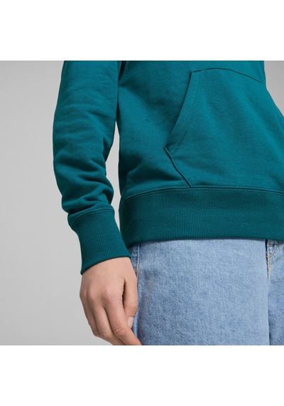Puma Classics Shiny Logo Kadın Yeşil Sweatshirt625595