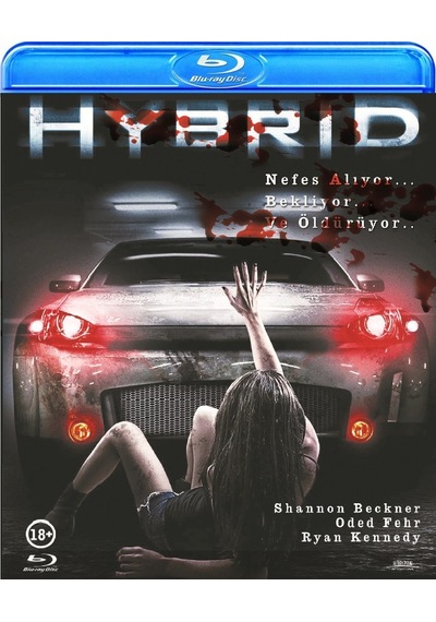 Hybrid 3D Blu-Ray Disc