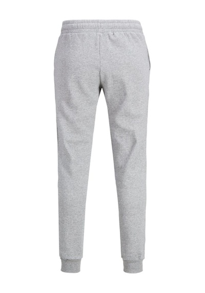 Jack & Jones Erkek Eşofman Altı Sweat Pant - 12178421 001