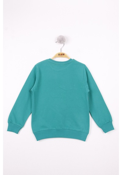 Toontoy Kids Toontoy Erkek Çocuk Relax Fit Bisiklet Yaka Baskılı Sweatshirt - 2 İplik Yeşil