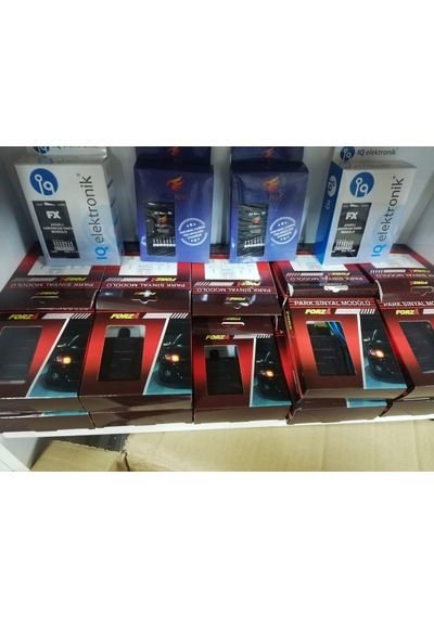 AMERİKAN PARK MODÜLÜ - AYARLI 12V (2 ÇIKIŞLI)