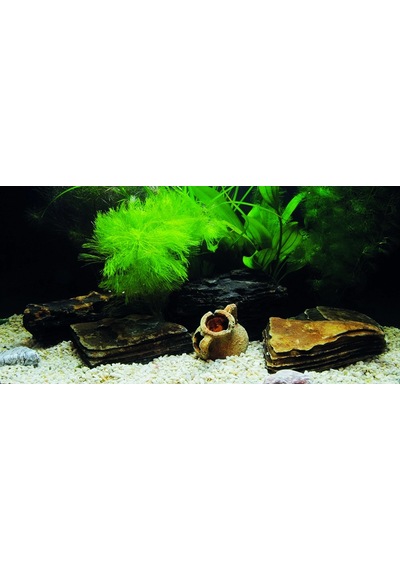 Kanki Pet Kp10552033 Akvaryum Arka Fon Yapıştırma 105 X 52 Cm