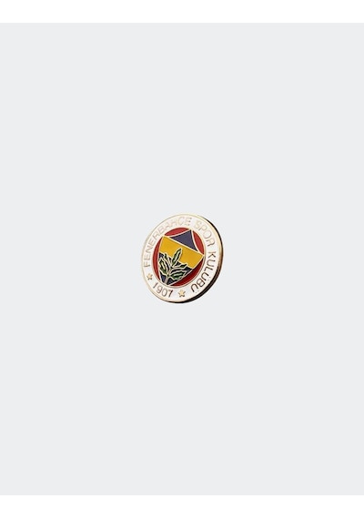 Rozet Fb Logo Mineli 1,9 Cm Altın
