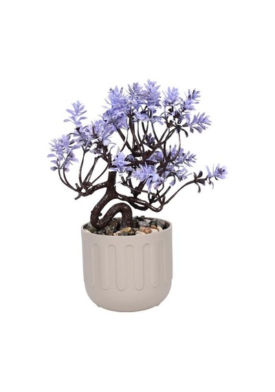 5722 Renkli Mini Ağaç Şeffaf