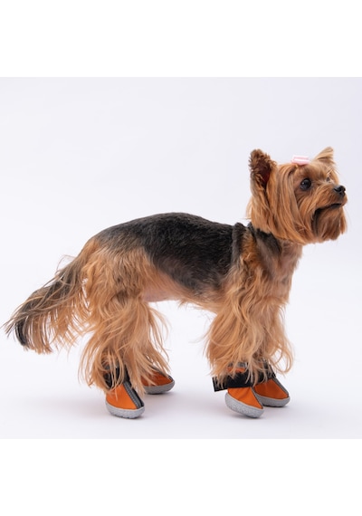 Pawstar Turuncu Köpek Ayakkabısı