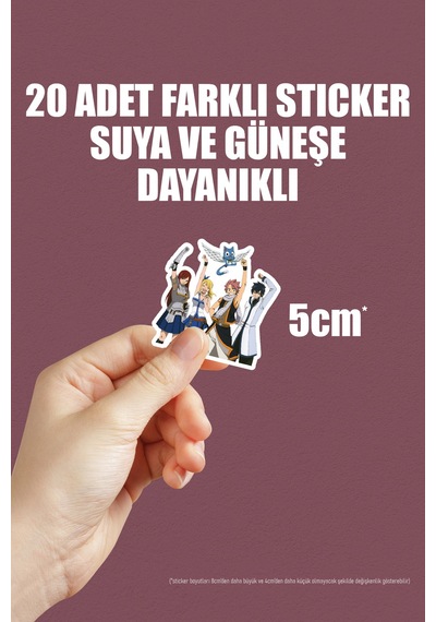 Fairy Tail Anime Sticker Paketi 20 Adet Sticker Çok Renkli
