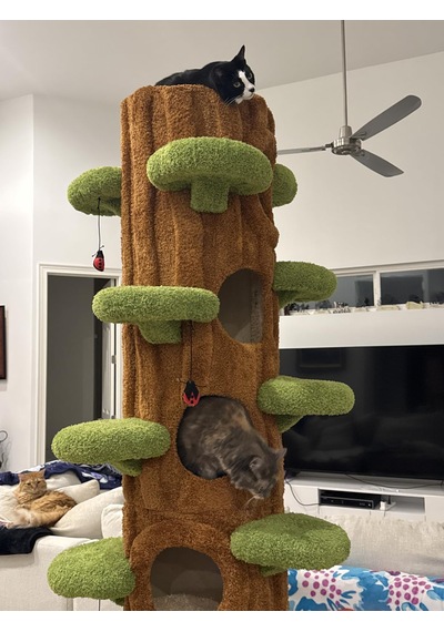 Ağaç Temalı Kedi Evi 180 Cm