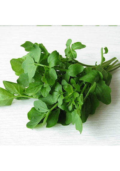 Bykurt Geniş Yapraklı Tere Tohumu - İştah Açıcı Aromalı, Taze Tüketim İçin İdeal Tere