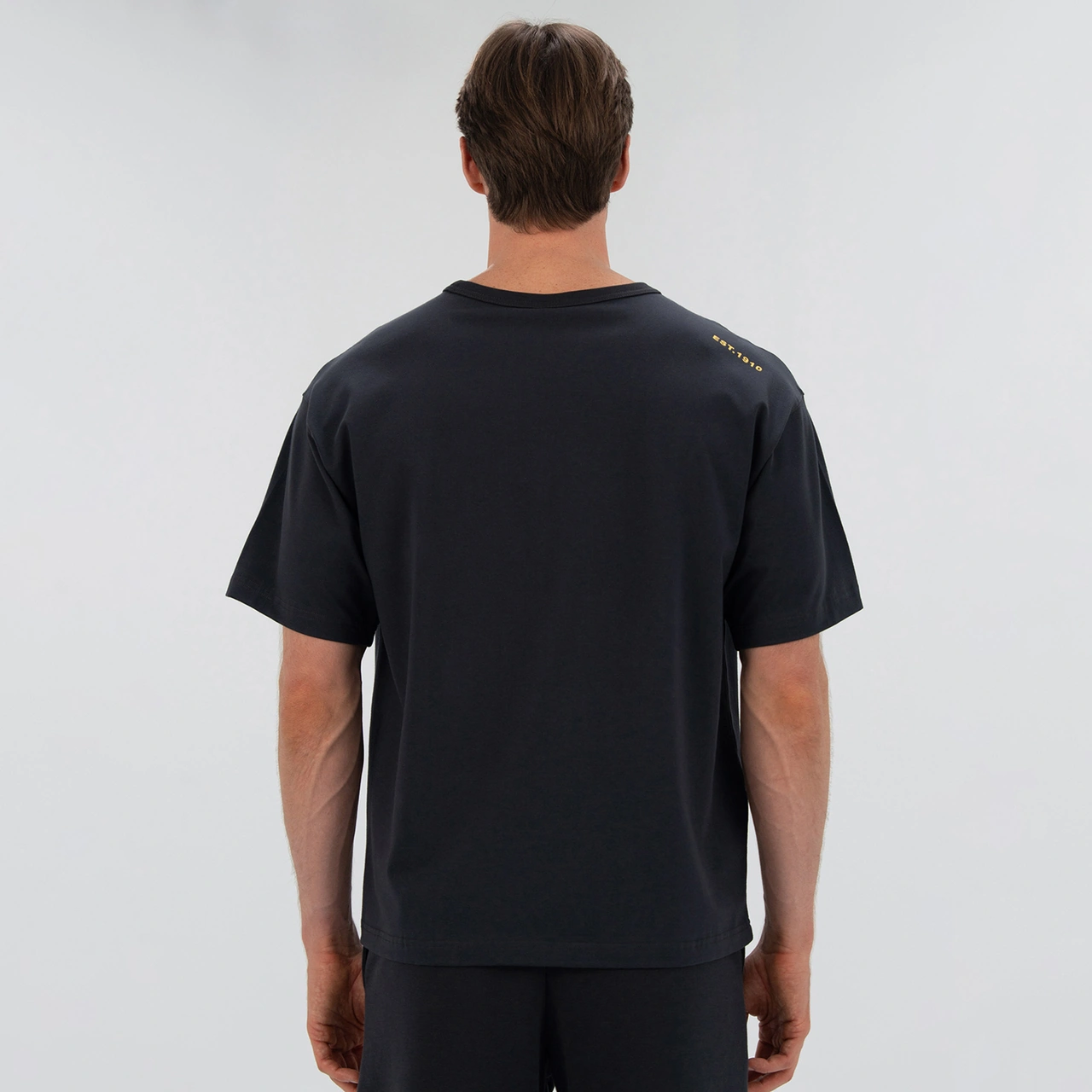 Everlast 1910 Classic Comfort Erkek Gri T-shirt Tm0166 Gri