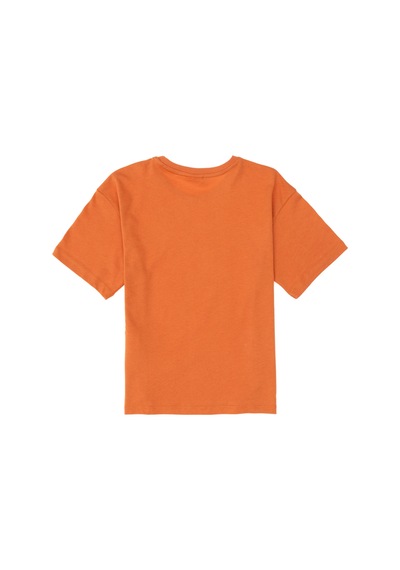U.S. Polo Assn.  Erkek Çocuk Tarçın Comfort Basic Bisiklet Yaka Tşört 50295503-VR191