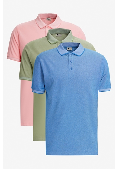 AC&Co / Altınyıldız Classics Erkek Yesıl-Acık Pembe-Saks Çekmeyen Pamuklu Kumaş Slim Fit Dar Kesim 3 'Lü Kıvrılmaz Polo Yaka Tişört Çok Renkli AC&Co / Altınyıldız Classics Erkek Yesıl-Acık Pembe-Saks Çekmeyen Pamuklu Kumaş Slim Fit Dar Kesim 3 'Lü Kıvrılmaz Polo Yaka Tişört Çok Renkli
