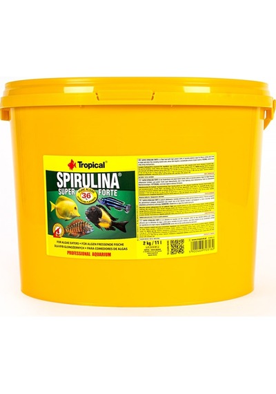 Tropical Süper Spirulina Forte 500 Gram Pul Yem