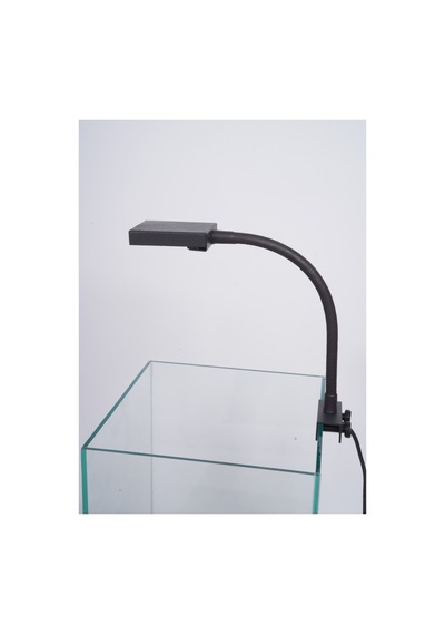 Nano M1-b Beyaz 6500 Kelvin