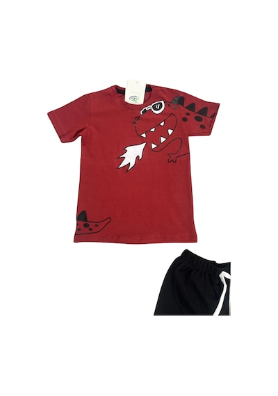 Dinozor Baskı Erkek Çocuk Takım-90562 Bordo
