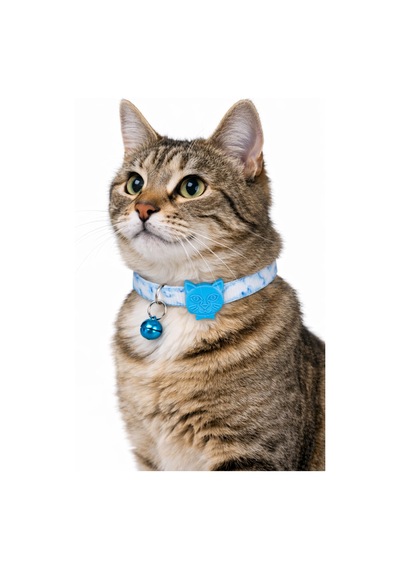 Swissplus Urban Paws Sky Marble Recycled Kedi Tasması- 10 Mm