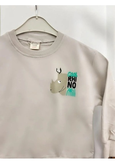 Zekids Erkek Çocuk Cool Rhino Baskılı Pamuklu Sweatshirt-14202 Taş