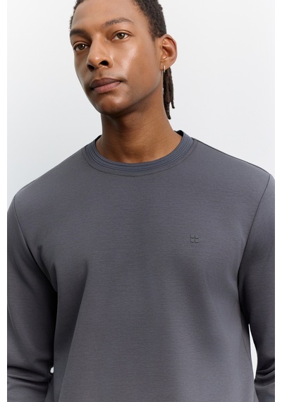 Avva Erkek Antrasit Bisiklet Yaka Kolay Ütülenen Regular Fit Sweatshirt B001035