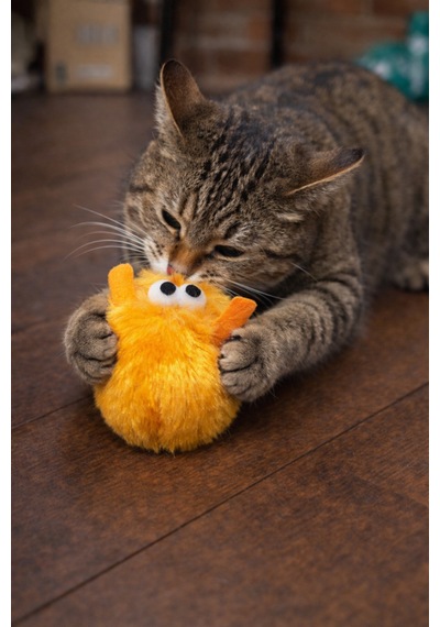 Matatabili Snuggle Hunter Kedi Fare Oyuncağı