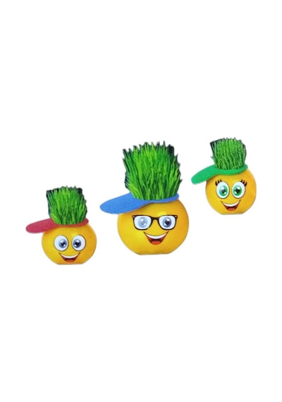 Emoji Çim Adam Yapım Seti-okul Eğitici Deney Seti