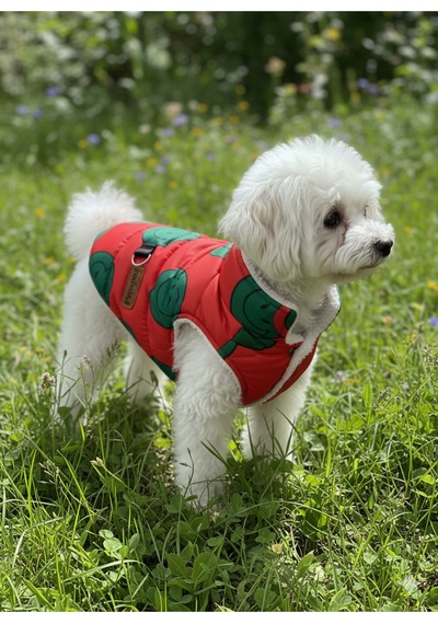 Kedi - Köpek Kışlık İçi Peluş Şişme Yelek - Mont - Kıyafet -sweat