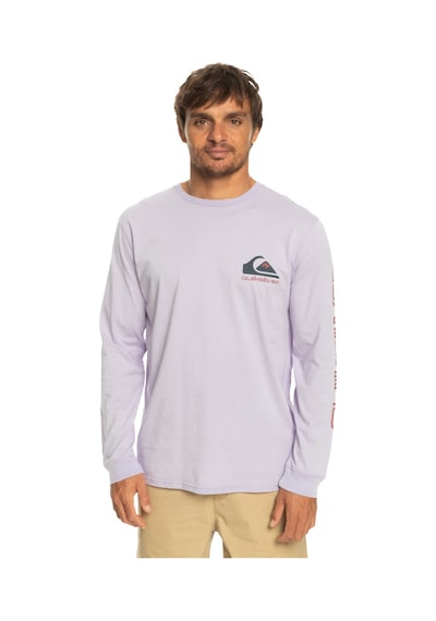 Quiksilver Eqyzt07233 Omnilogo M Tees Erkek Tişört 001 Lila