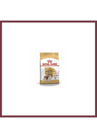 Storeşahin Cavalier Charles Adult Yetişkin Köpek Maması 3 Kg Shn0720