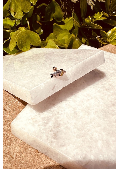 Balık Tasarım Özel Tasarım Rose Gold Renk Stainless Steel Çelik Tragus Helix Piercing
