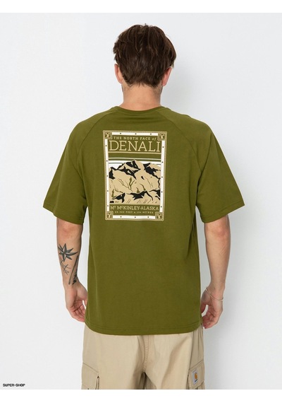 The North Face S/s North Faces Erkek T-shirt Yeşil- Yeşil